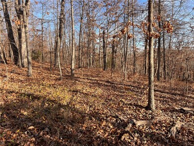 23 Dolly Cir, Bella Vista, AR 72715 - photo 7