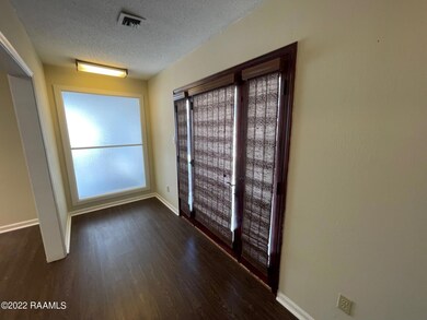 Patio Door with Window treatments
