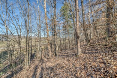 TBD Cleveland Rd Lower 7