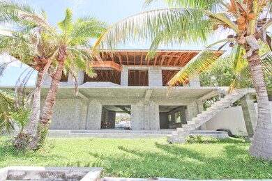 Back of house and backyard