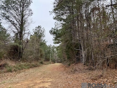 0 Maypop Ln unit 2025003555, Meadville, MS 39653 - photo 4