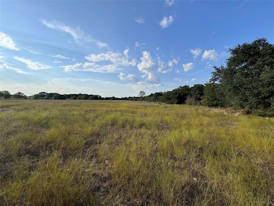 View of local wilderness with a rural view