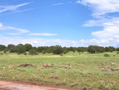 111 Gleed Station Rd, Ash Fork, AZ 86320 - photo 6