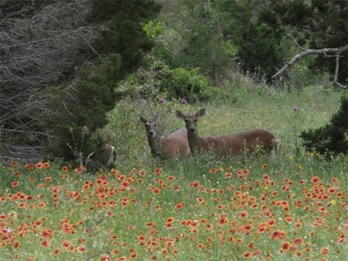 unlisted-address, Whitney, TX 76692 - photo 5