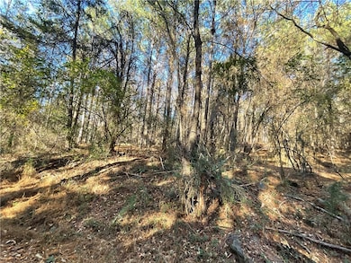 0 Prater Farm Rd, Seneca, SC 29678 - photo 7