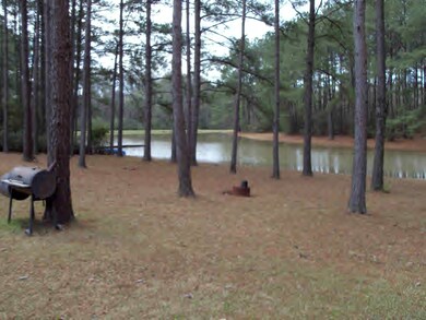 3065 Highway 44 E, McComb, MS 39648 - photo 4