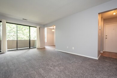 54 Shrewsbury Green Dr unit J, Shrewsbury, MA 01545 - photo 5