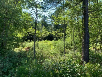 IMG-2565