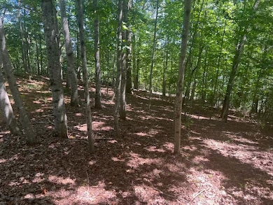 33 Westfield Trace, Franklin, NC 28734 - photo 2