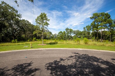 1702AncientOaks-KeenEyeMarketing-037