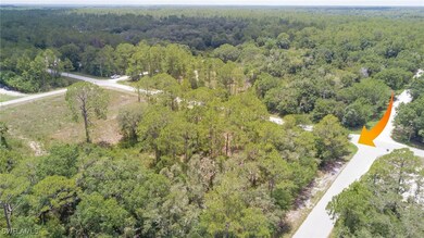 3201 E 14th St, Lehigh Acres, FL 33972 - photo 6