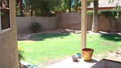 Backyard and patio