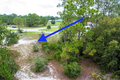 325 Gloria Blvd, Lake Placid, FL 33852 - photo 2