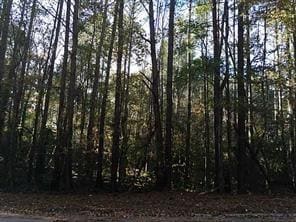 3627 Springtree Dr, Lithonia, GA 30038 - photo 3