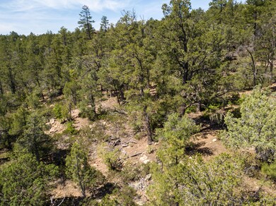 1870 S Pleasant View Dr unit 429, Show Low, AZ 85901 - photo 6