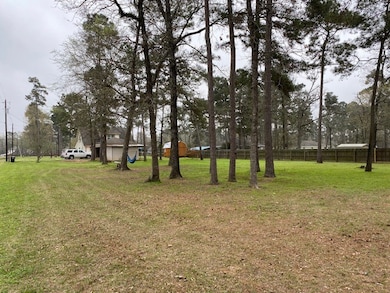 25209 Jasons Ct, Hockley, TX 77447 - photo 5