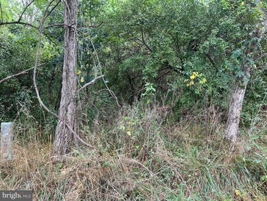 0 Quail Rd unit VASH2006644, Basye, VA 22810 - photo 2