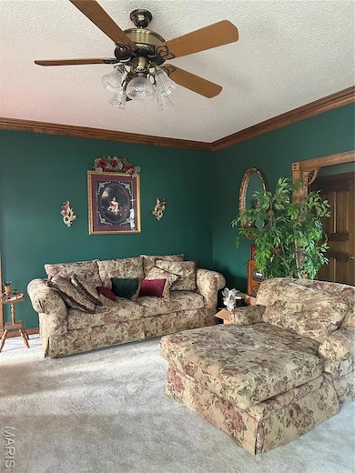 4499 Canterbury Ln, High Ridge, MO 63049 - photo 7