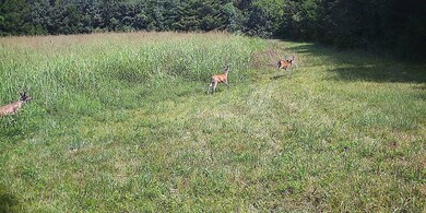 880 Wasden Rd, Hope Hull, AL 36043 - photo 7