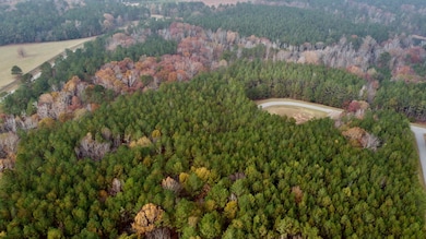 1125 Hunters Landing, Tignall, GA 30668 - photo 3