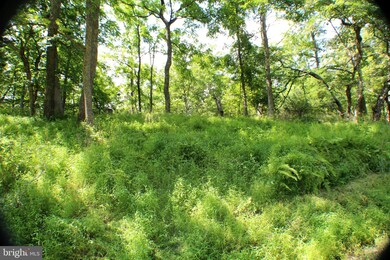 Lot 8 Sec 2 High Knob Rd, Old Fields, WV 26845 - photo 2