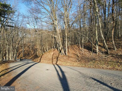 0 Spring Gap Rd unit WVHS2002540, Slanesville, WV 25444 - photo 6