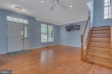 43053 Edgewater St, Chantilly, VA 20152 - photo 4