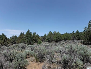 0 Tuledad Rd unit 202500229, Ravendale, CA 96123 - photo 5