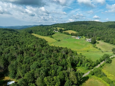 276 Dutton District Rd, Springfield, VT 05156 - photo 6