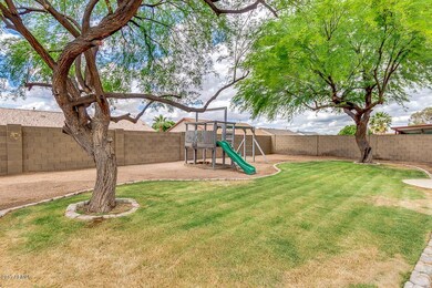 Great Back Yard