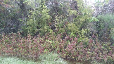 1635 Algoa Rd, Algoa, TX 77511 - photo 6