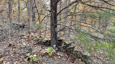 225 W Budinot Dr, Park Hill, OK 74451 - photo 4