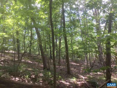 110 Wood Thrush Ln unit 1I-B3 MOUNTAIN SHADO, Nellysford, VA 22958 - photo 5