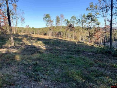 00 Tomahawk Slab Rd, Saint Joe, AR 72675 - photo 7