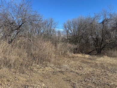 2414 Poplar Ave, Duncombe, IA 50532 - photo 6