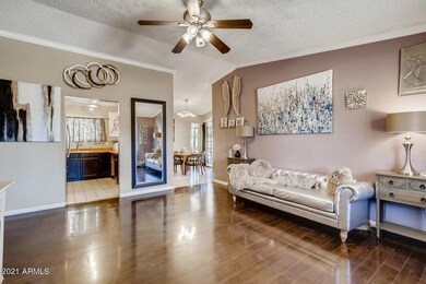 Ceiling Fan & Crown Moulding