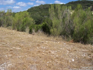 8511 Camp Verde Rio, San Antonio, TX 78255 - photo 3