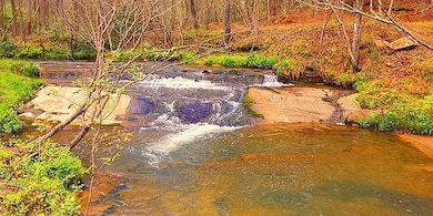 2243 Damascus Rd, Ball Ground, GA 30107 - photo 7