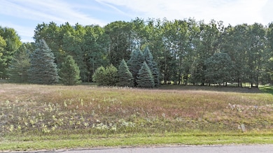 7256 Ryans Run Rd, Canadian Lakes, MI 49346 - photo 2