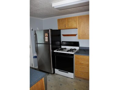 1008 Earnest St, Johnson City, TN 37604 - photo 4