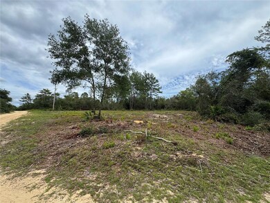 0 NE 135th St unit MFROM709418, Salt Springs, FL 32134 - photo 4