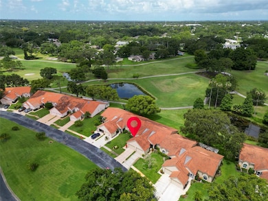 1164 Rustlewood Ct, Palm Harbor, FL 34684 - photo 3