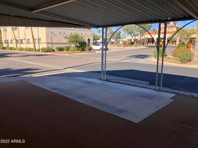 VIEW FROM CARPORT