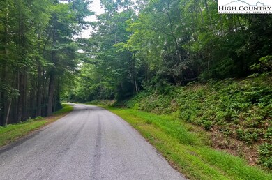 Lot 9 Little Laurel Rd, Boone, NC 28607 - photo 2