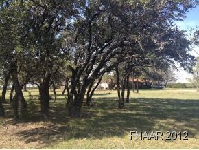 374 Falcon Ln, Kempner, TX 76539 - photo 3