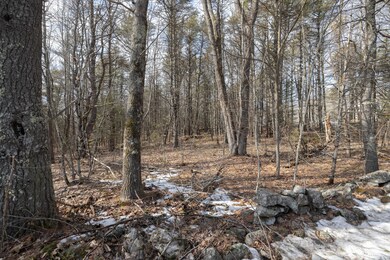 TBD Henry Rd, Georgetown, ME 04548 - photo 2