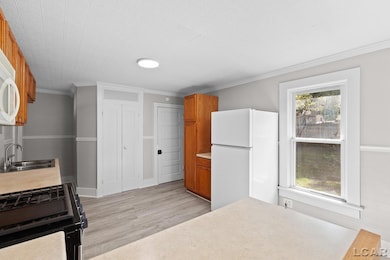 516 E Hunt St, Adrian, MI 49221 - photo 5