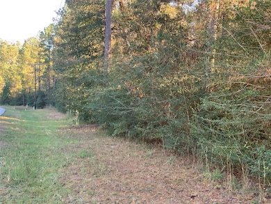 Lot 111, Block 8 Clear Creek Forest Sec 11, Magnolia, TX 77355 - photo 2