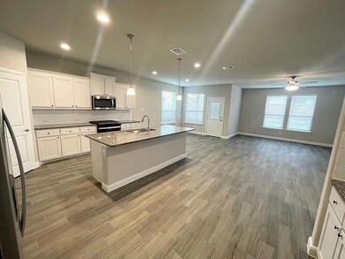 2336 Waggoner Ranch Dr, Weatherford, TX 76087 - photo 4