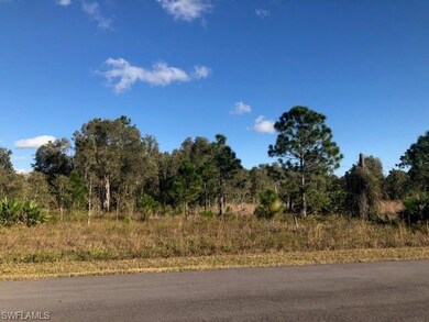 857 Bancroft Ave, Lehigh Acres, FL 33974 - photo 4